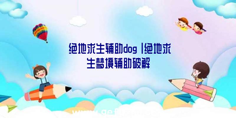 「绝地求生辅助dog」|绝地求生梦境辅助破解